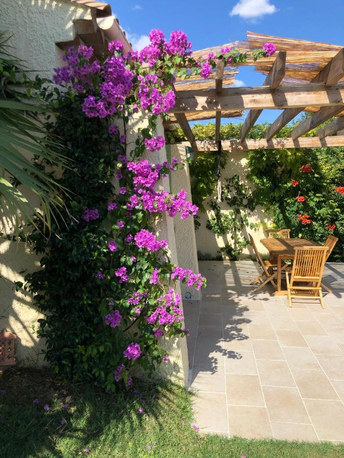 Villa D'Architecte Avec Piscine Et Grand Jardin Marseille Exteriör bild